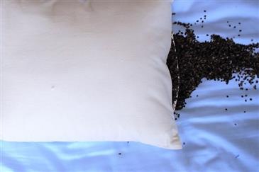 White Lotus Home Buckwheat Sleep Pillows White Lotus Home Buckwheat Sleep Pillows